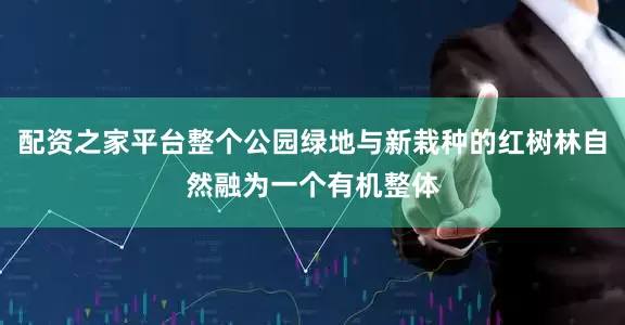 配资之家平台整个公园绿地与新栽种的红树林自然融为一个有机整体