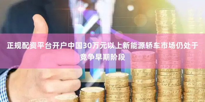正规配资平台开户中国30万元以上新能源轿车市场仍处于竞争早期阶段