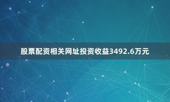 股票配资相关网址投资收益3492.6万元