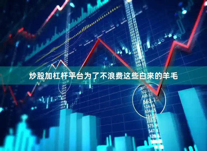 炒股加杠杆平台为了不浪费这些白来的羊毛