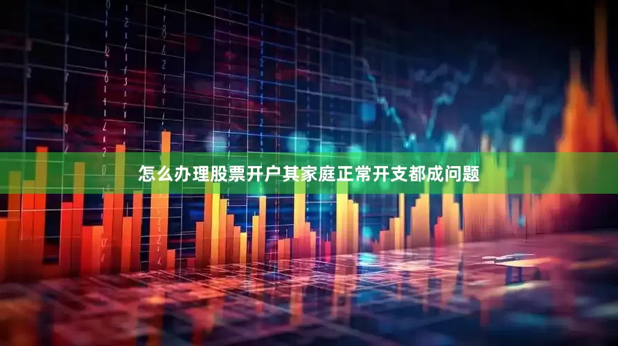 怎么办理股票开户其家庭正常开支都成问题