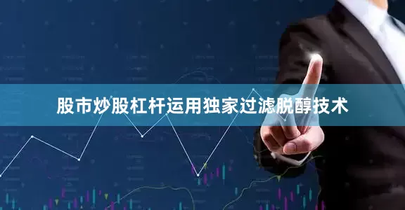 股市炒股杠杆运用独家过滤脱醇技术